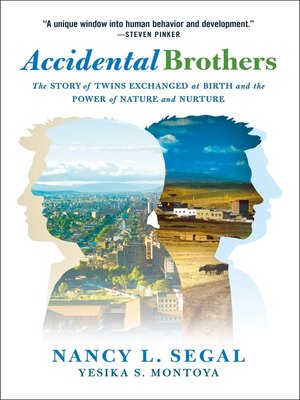 cover image of Accidental Brothers